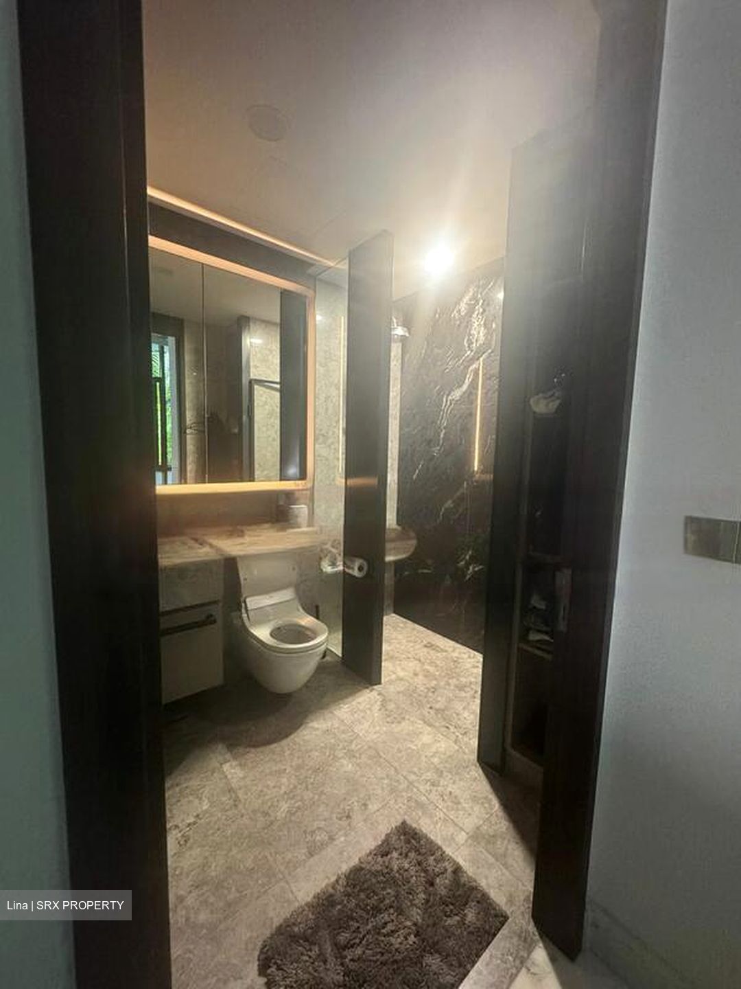 Van Holland (D10), Condominium #472902961